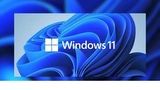 2021最新windows11 64位免费体验版v2021.09