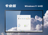 微软windows11专业版系统镜像v2022.7